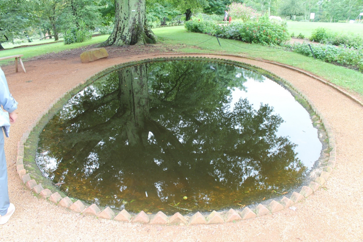 Monticello Fishpond