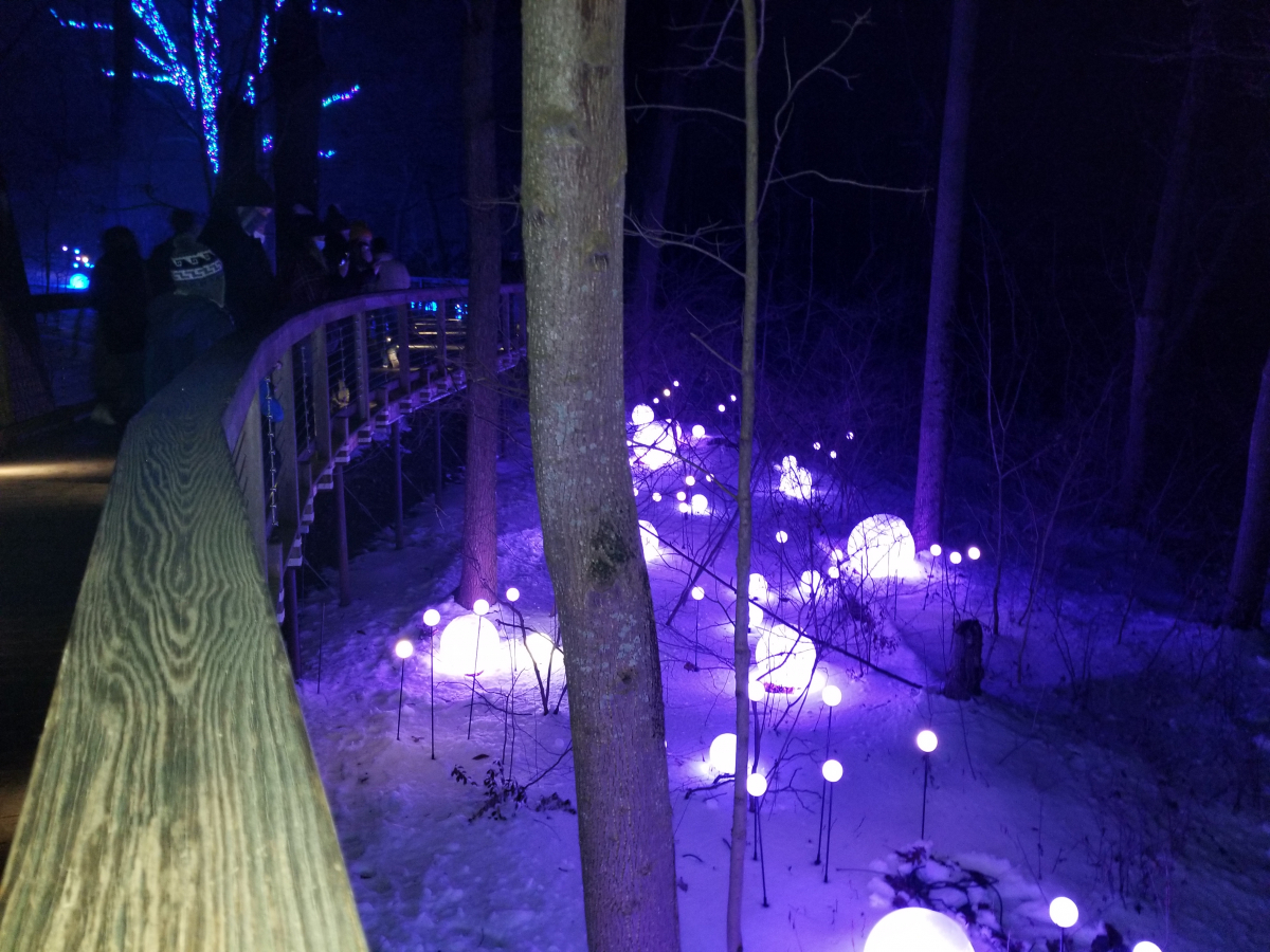 A Longwood Christmas, Longwood Gardens