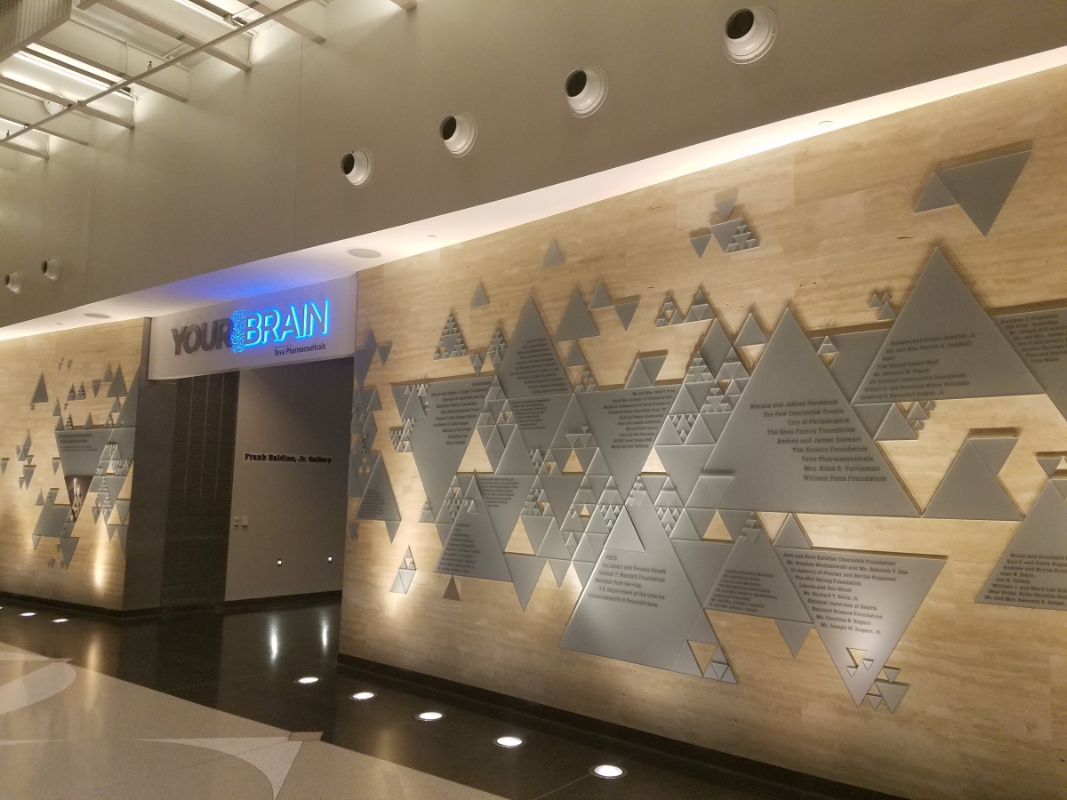 The Brand New "Your Brain" Exhibit