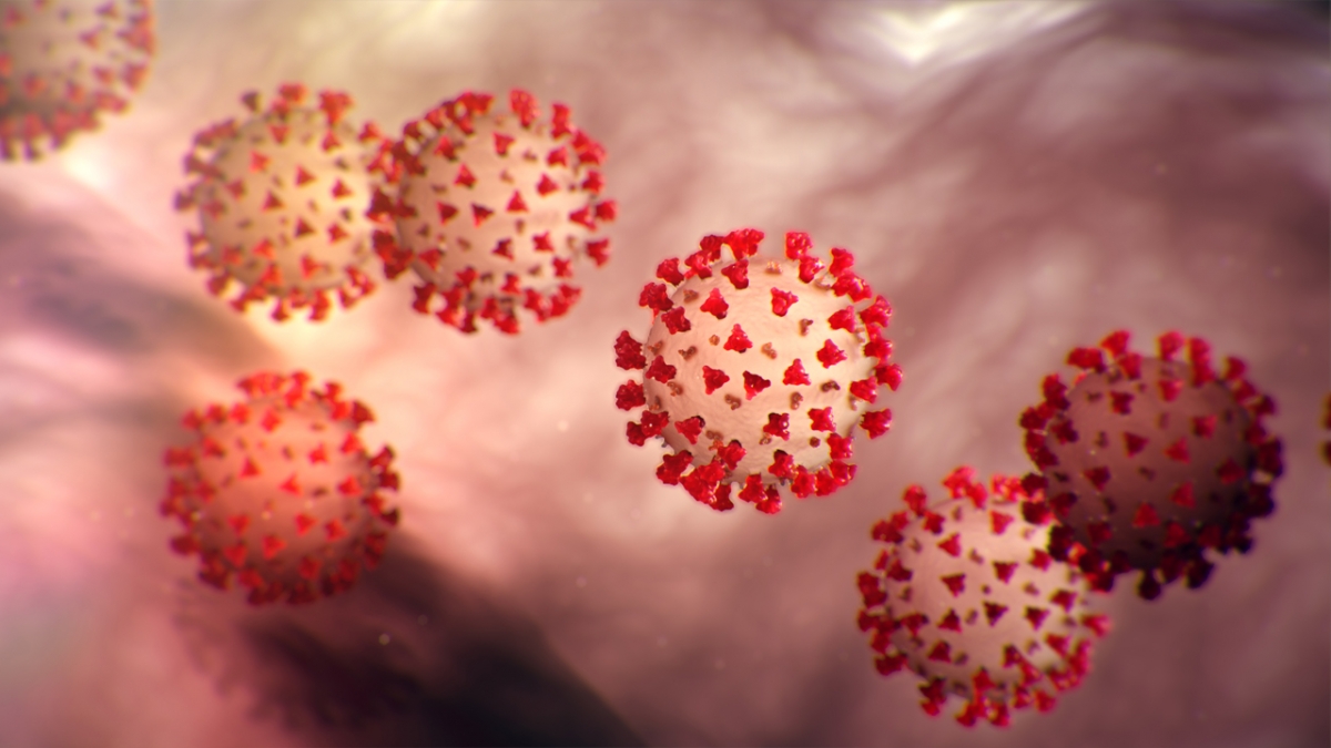 Coronavirus Disease 2019 (COVID-19), Photo Credit: CDC